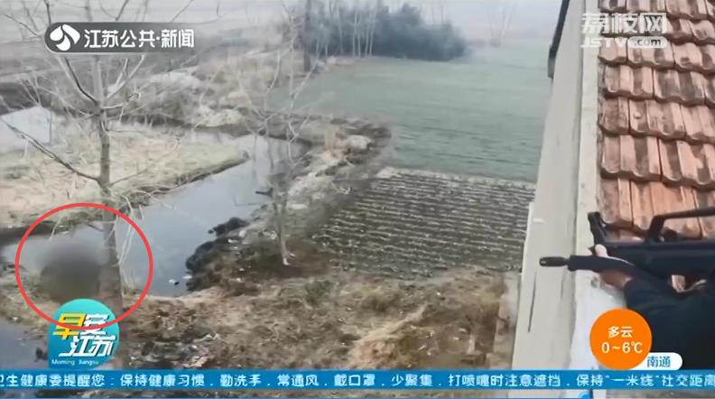 盐城滨海：&ldquo;惊牛&rdquo;乱窜伤人 特警果断击毙除隐患