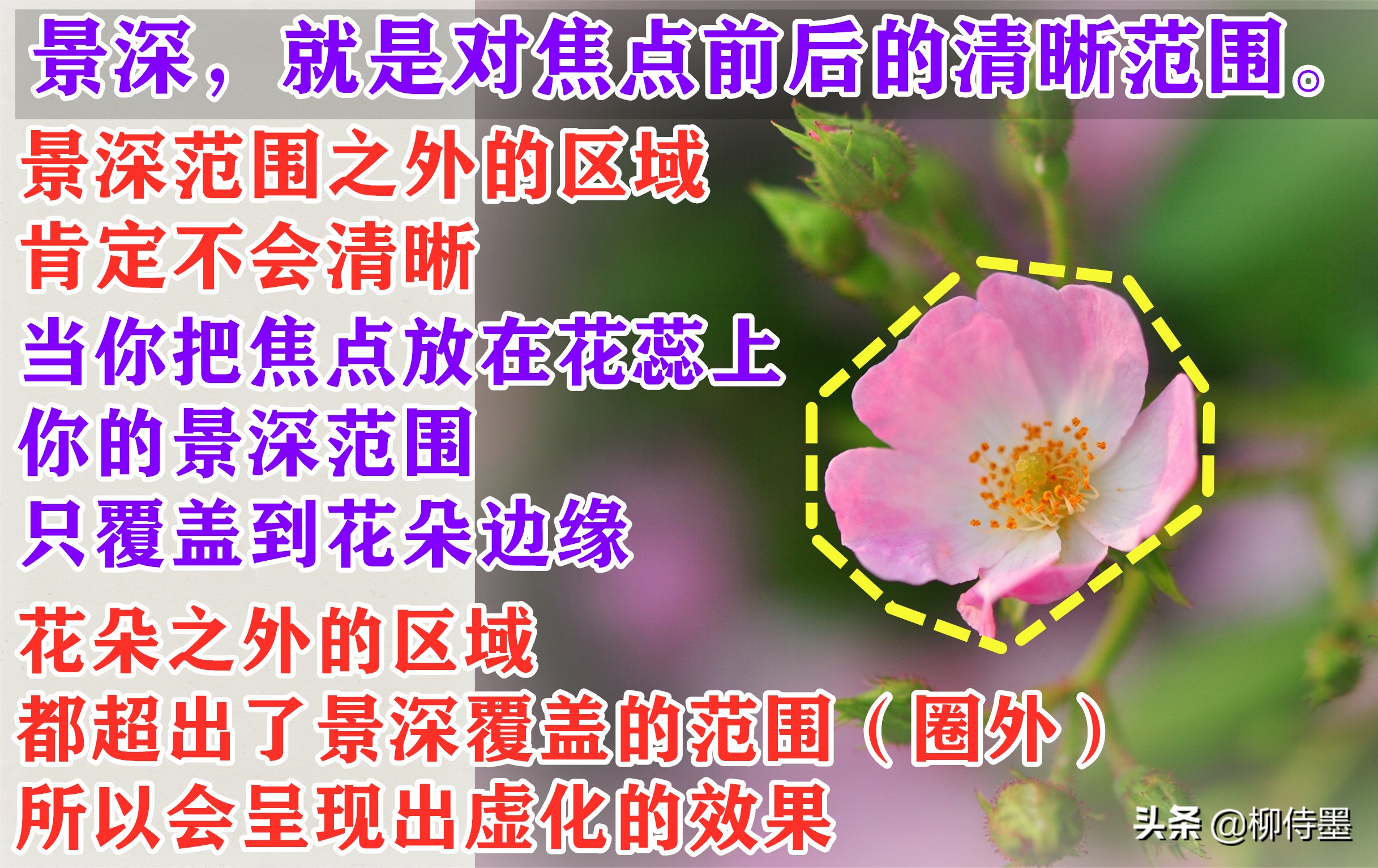 中老年阿姨玩轉(zhuǎn)手機(jī)攝影，照片想要高級感爆棚？一個技巧就搞定