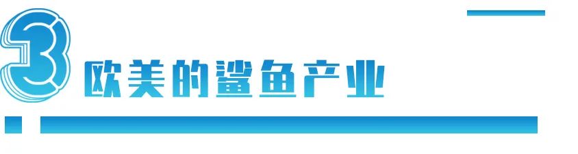 nba球星为什么鲨鱼(姚明的呼吁让中国人不吃鱼翅，但鲨鱼为何更濒危了？)