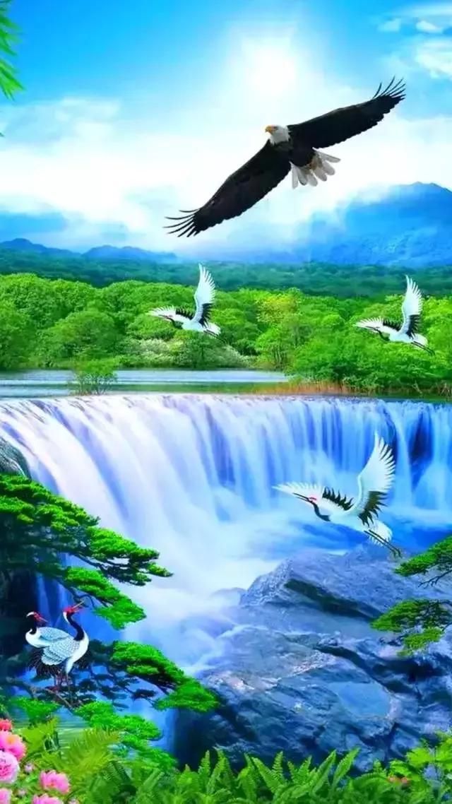 人若向善,一生安然,善良之人,必有福缘