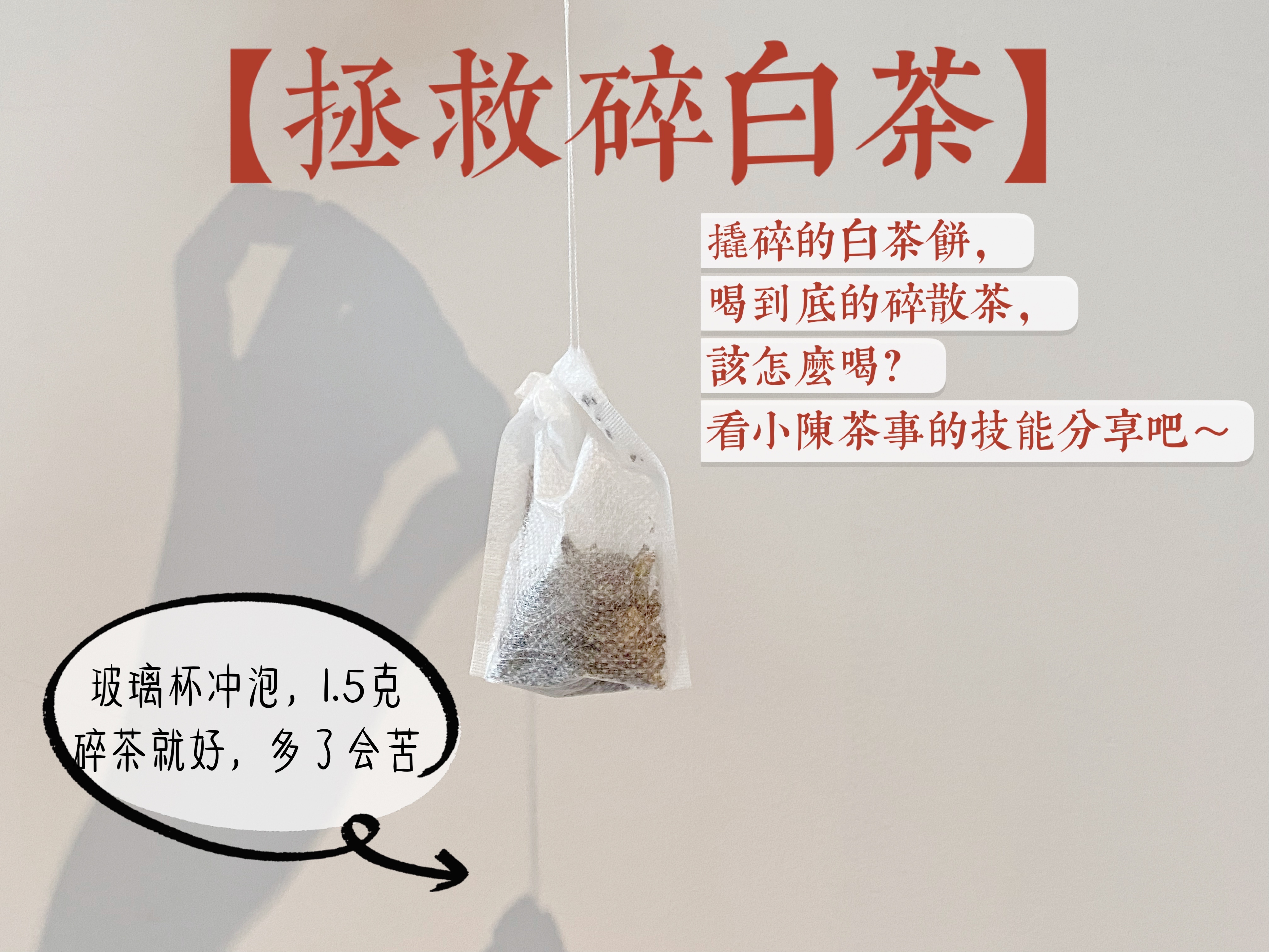 喝茶十几年，我发现泡白茶饼很简单，搞清楚3个问题就行了