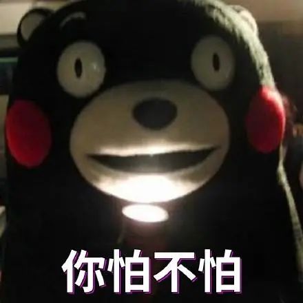 猫头鹰居民家烟囱“安家”，蜀黍赶到进行救助
