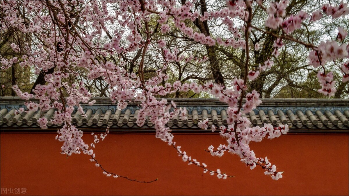 当唐诗宋词遇上春日美景，一起感受春天里的诗意美景