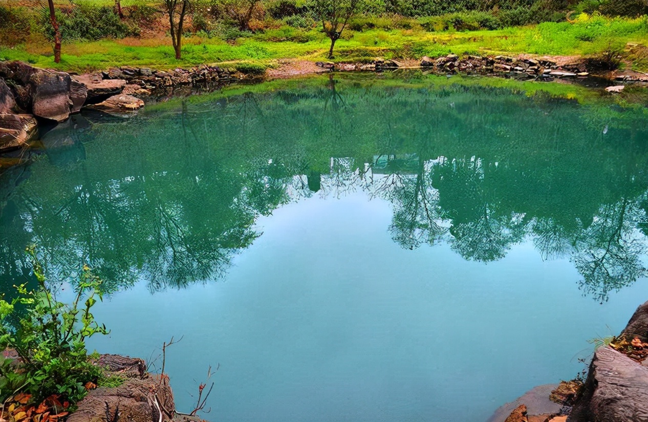 被判15年未进监狱（1994年）