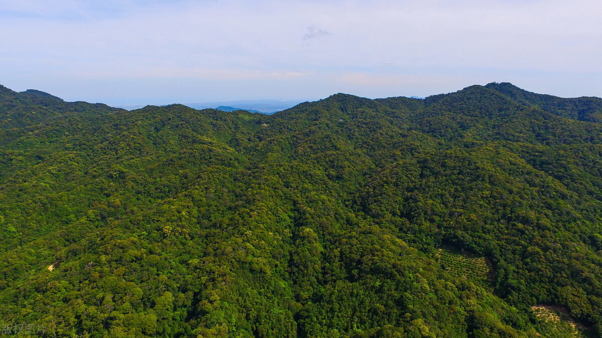爱上大自然的一抹绿，轻松玩转森林秘境，打卡8处国内最美森林