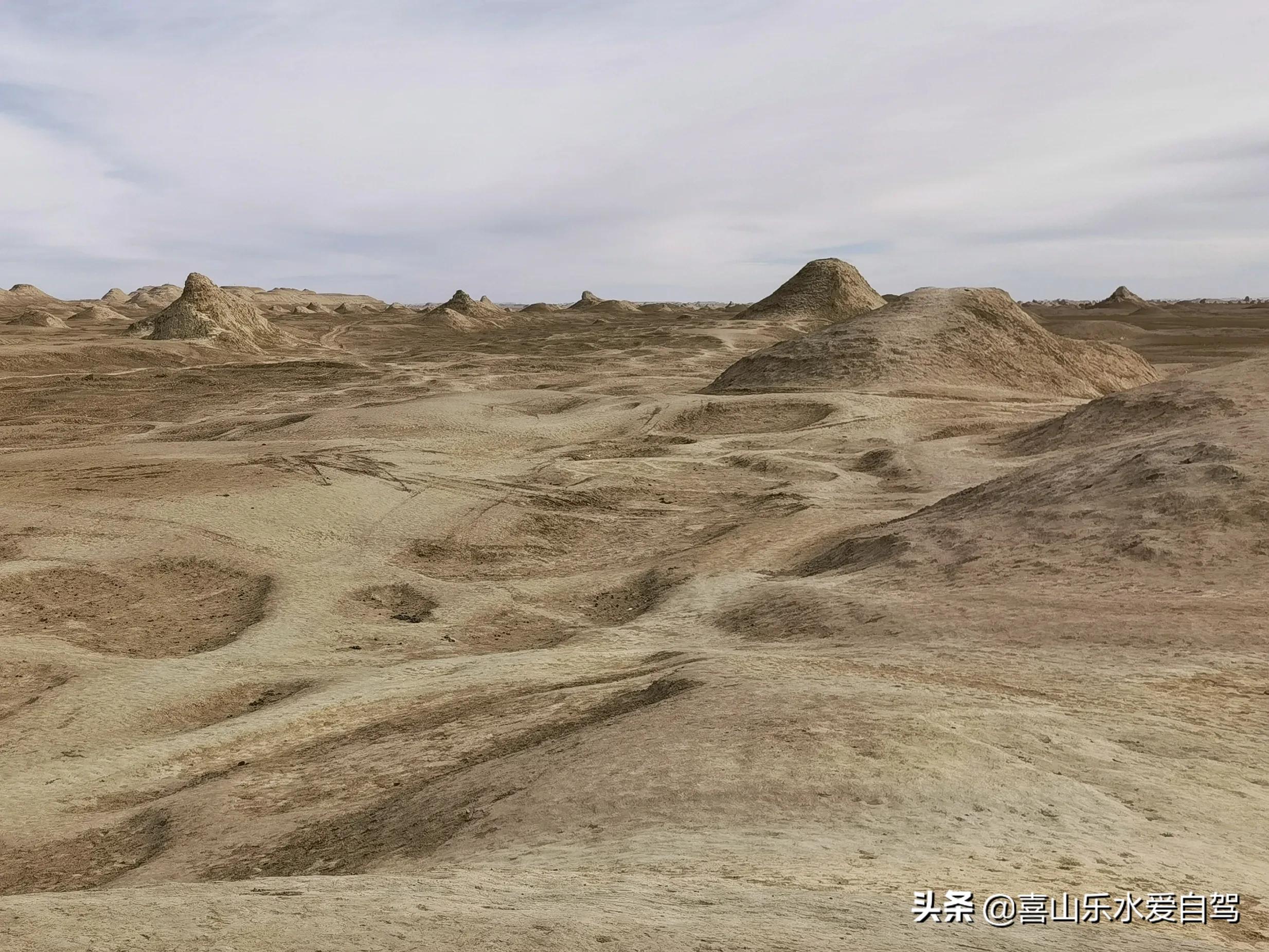 自驾青甘大环线，翻雪山、走戈壁、赏胡杨，饱览祖国西北苍凉之美