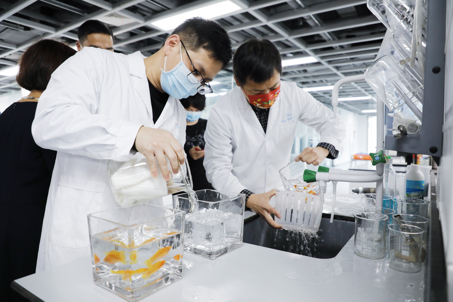 洗衣机研究洗涤剂？海尔衣联网突然宣布