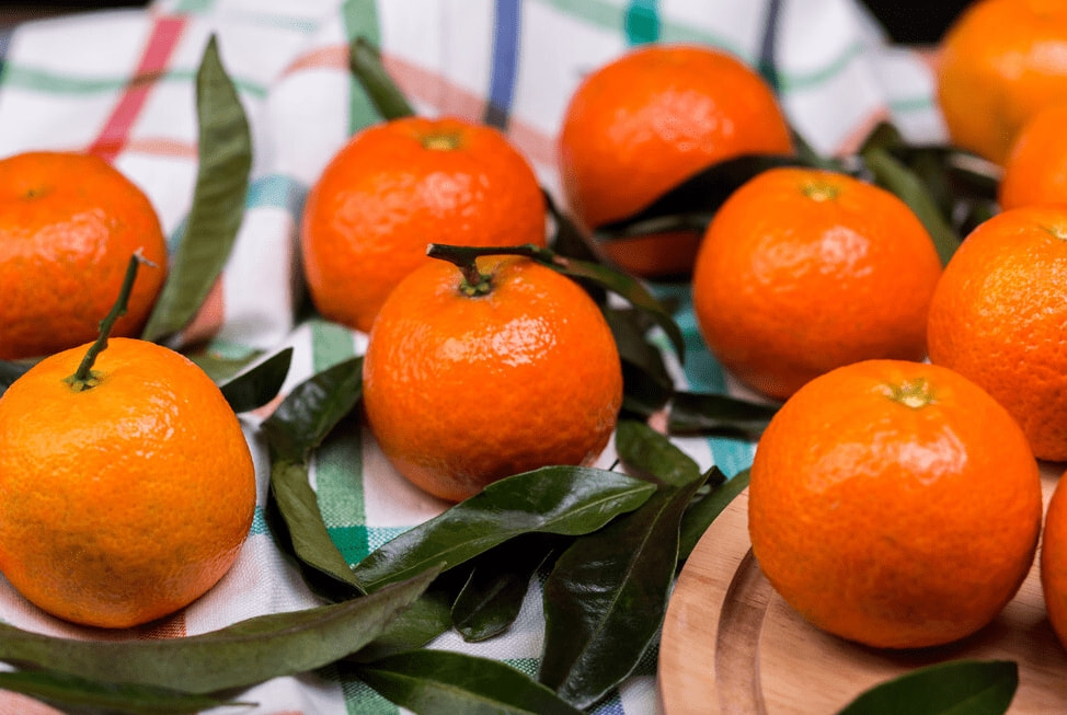 冬至来临，不管有钱没钱，这9种金牌水果要多吃，解渴润燥营养高