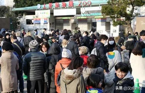 沉迷冰墩墩无法自拔,甚至想好了cv,论日本人到底多喜欢大熊猫
