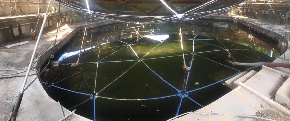 只有中国能够提前警告外星舰队的入侵——FAST能和外星人联系上吗