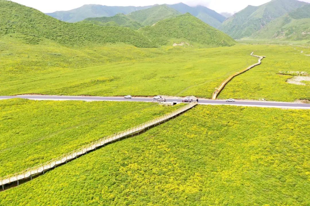 “五一”自驾出游 | 不远行，不聚集，这三条宝藏游玩线路走起！