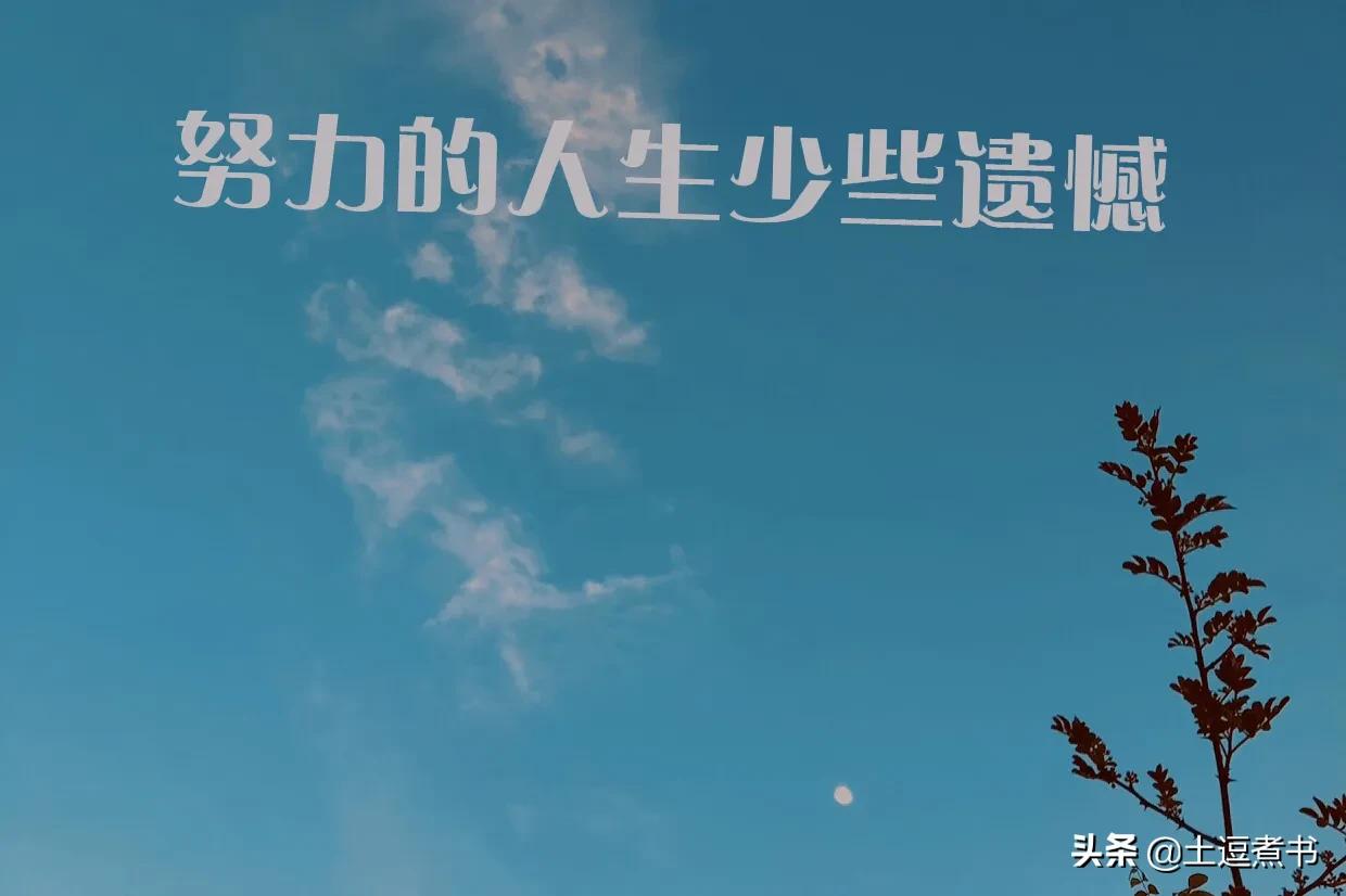 付出了全部却不见回报，努力如石沉大海，坚持的意义在沉默中渐渐模糊