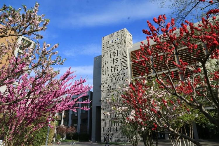 新祥旭：北京外国语大学国际商务专硕考研参考书目及复习经验指导