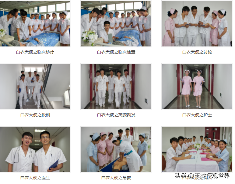 天津医专何去何从？升本改名困难重重，想合并又没合适的