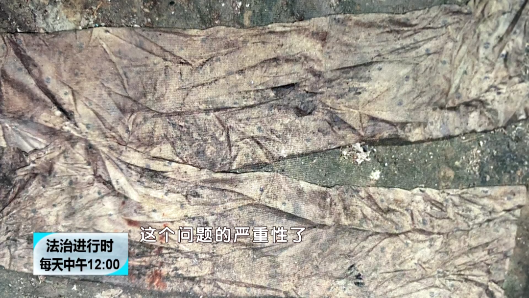 北京大案纪实：院中惊现白骨，牵出离奇命案