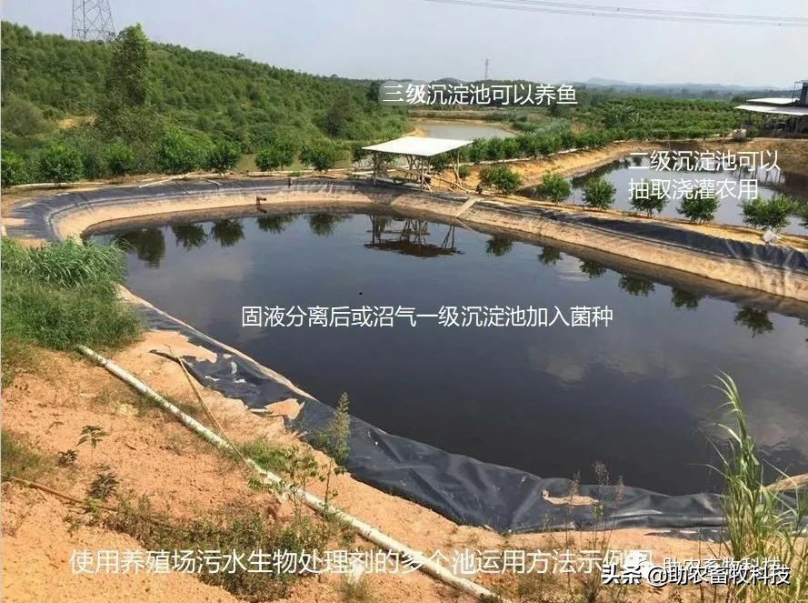 养殖场、农村集中废水用几个储液池让废水达标排放的方法分享
