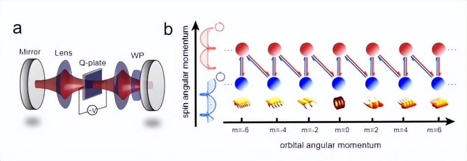 中科大郭光灿团队在量子模拟方面取得重要实验进展