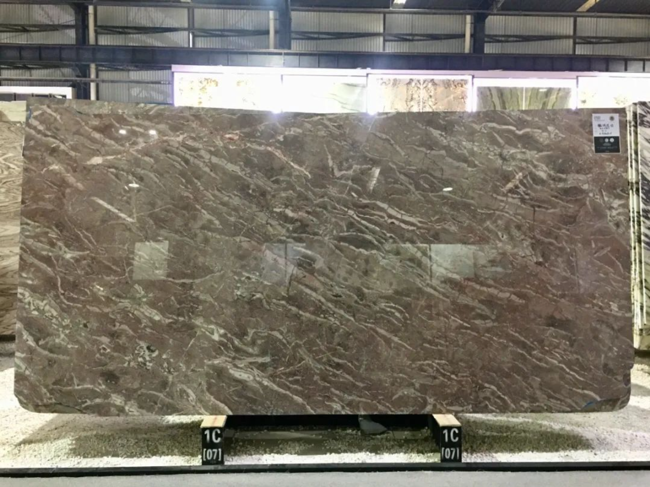 石材里的化石你见过吗？都有哪些石材里面有化石呢