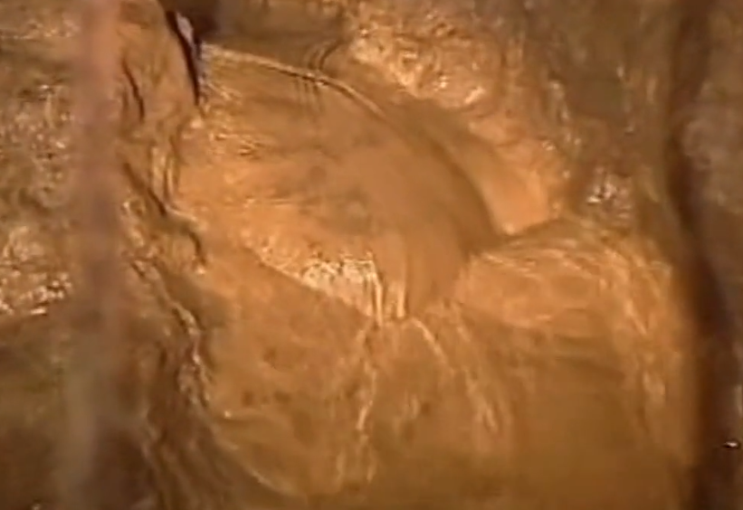 2017年,湖南22岁妙龄少女婚礼上失踪,找到时新郎被吓昏,这是为何?