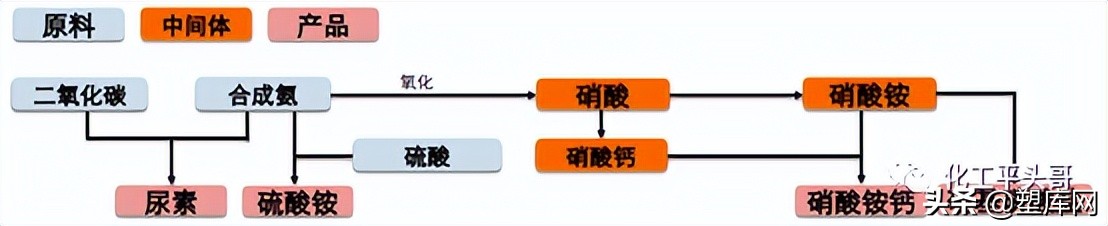 煤矿里走出的「皇族」：帝斯曼的120年