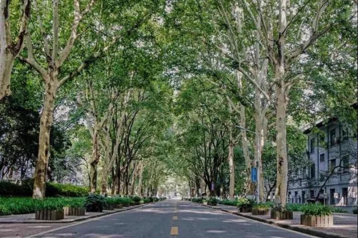 刷屏！多部热门影视剧在此取景，湖北“高颜值”大学火了，风景绝美！