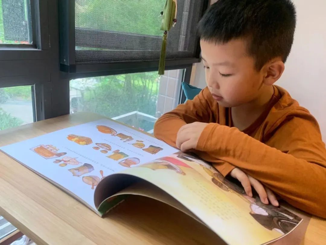 悦读绘本 乐享数学｜管窥双流区实验小学外国语学校绘本特色课程