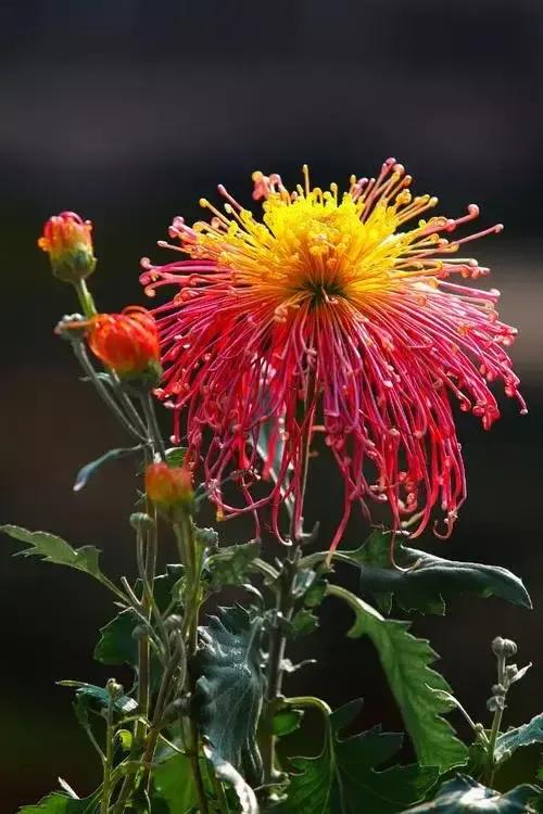 日子忙忙碌碌才充實 生活簡簡單單才幸福 Me前沿