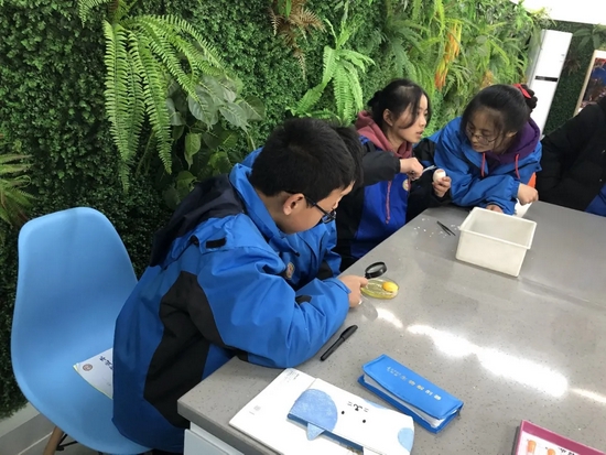 不愧是你，特等奖第一名！双中实验综合实践活动课程再获殊荣