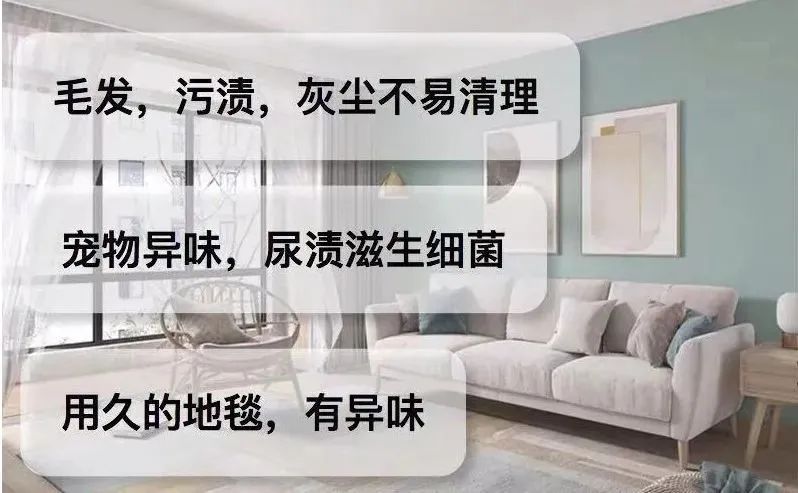 「好百邻软装清洗」沙发、地毯、床垫深度清洗除螨，即洗即用