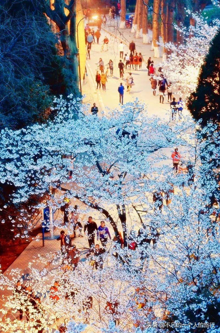 东台吉乃尔湖消失，圣象天门永久关闭？有些风景错过就是一辈子