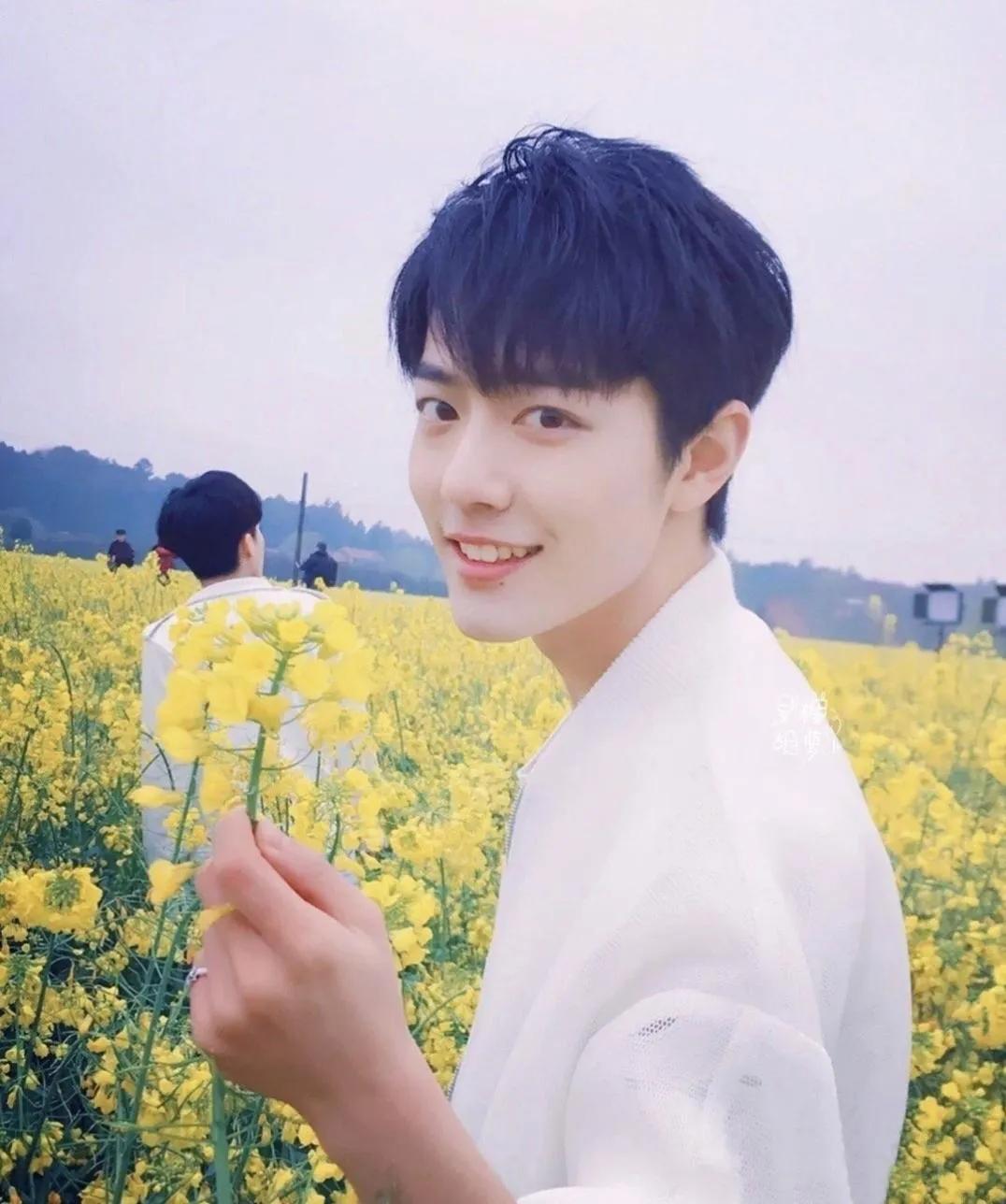 来一个肖战合集