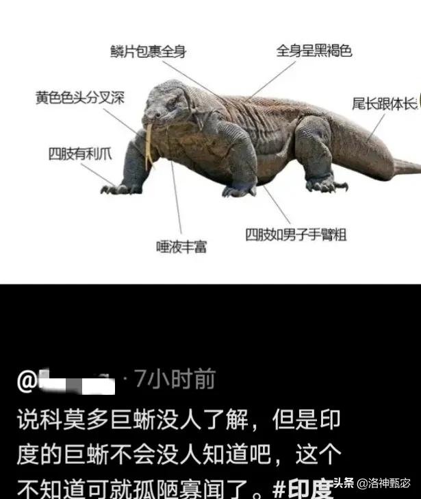 ӡ�Ⱦ�����ʲô����Ϊʲô����˵���ò������ÿ���