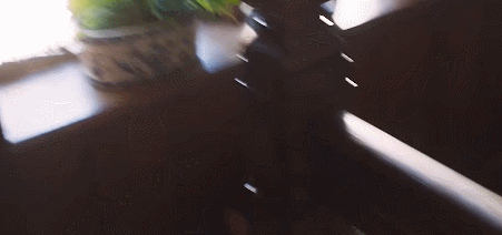 一口气4集，女主开局就死了6次