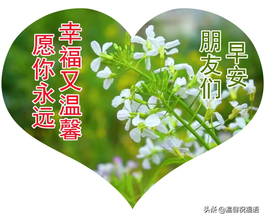 珍惜友情早上好图片 对好朋友的早安祝福图片大全