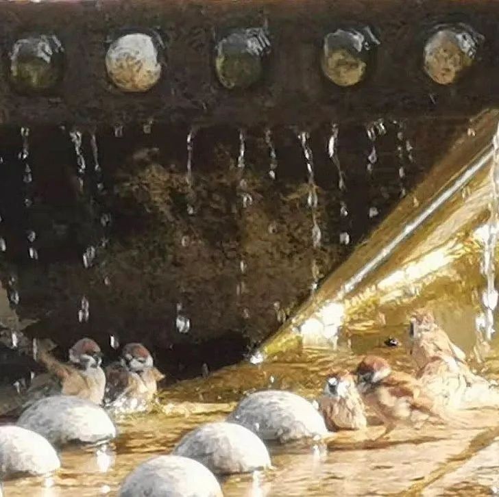 高清大图预警！北京高校“绝美”春景放送，随手一拍就是壁纸！