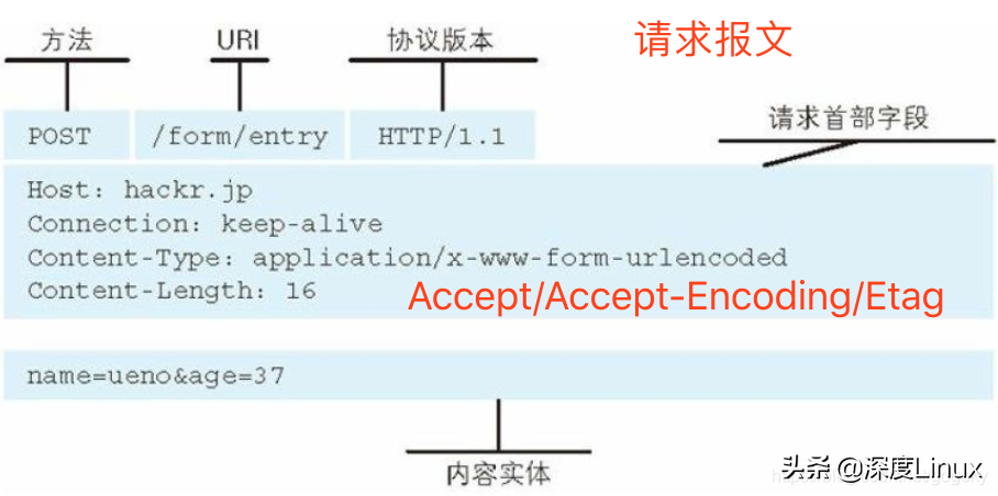 网络基本功：http报文及TCP拥塞控制机制