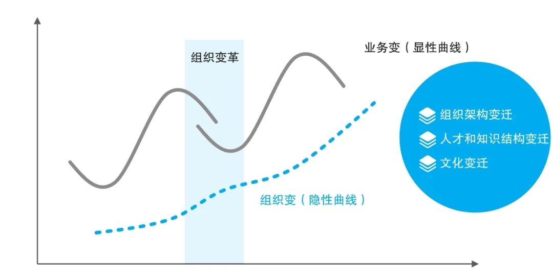 组织生命周期理论（穿越企业生命周期的隐性曲线）