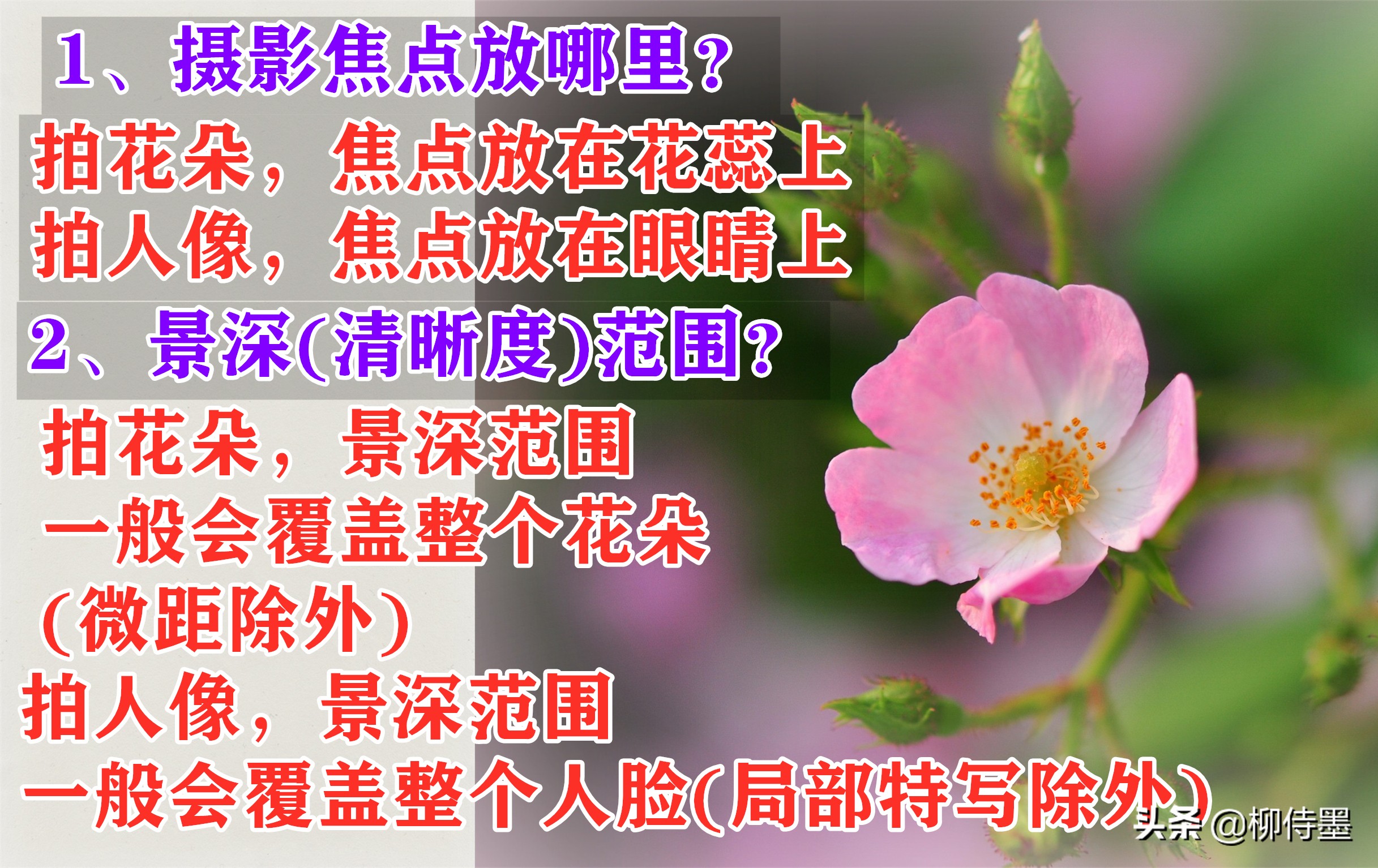 中老年阿姨玩轉(zhuǎn)手機(jī)攝影，照片想要高級感爆棚？一個技巧就搞定