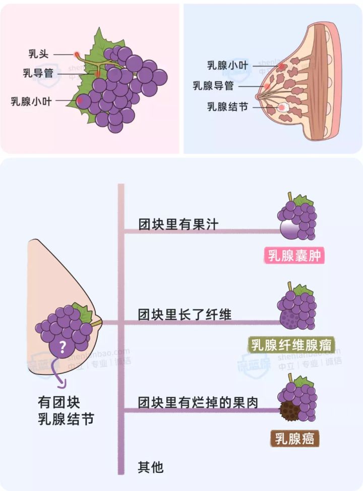 女性投保攻略！对比上百款产品，我最推荐这几款核保宽松的保险