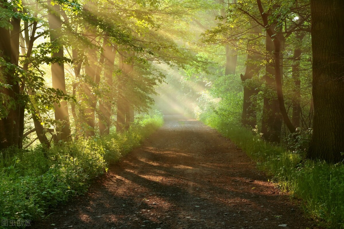 一天涨粉好几倍！他是怎么做的？