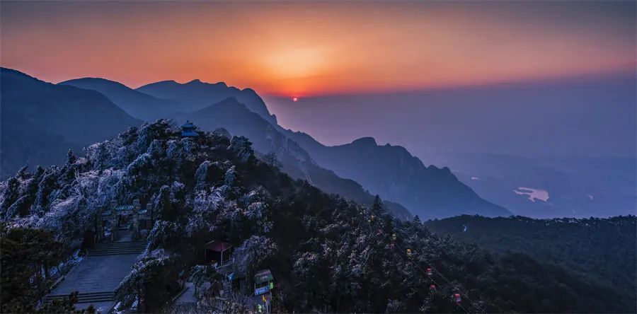 每月喝一种绿茶，神游祖国大好河山