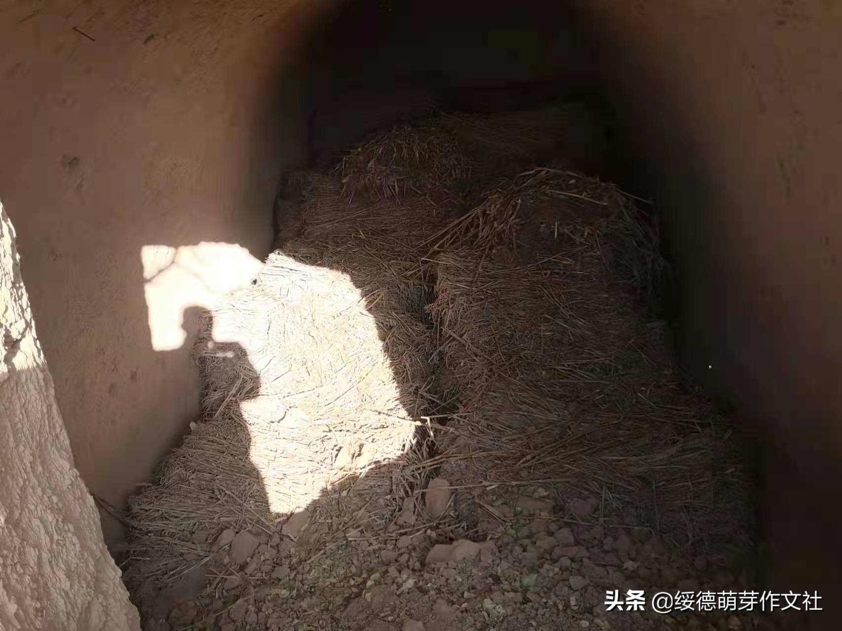绥德王文瑜，赵家砭张家山走出的陕北泥塑大师