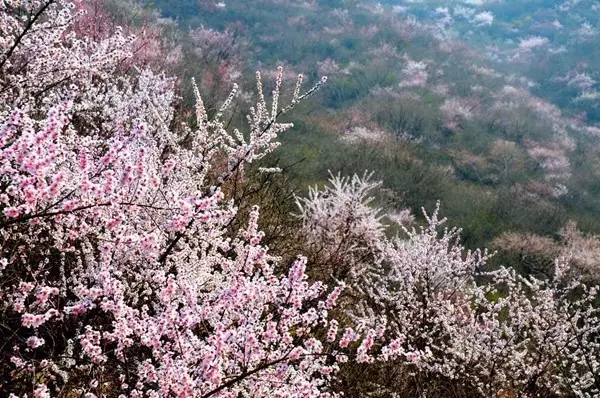 祖國最美的150座秀美名山