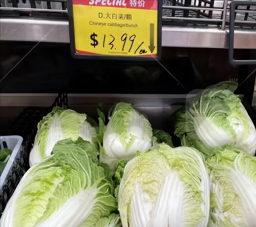 澳洲菜价成倍飙涨，华人商超吐苦水，华裔菜农悲鸣