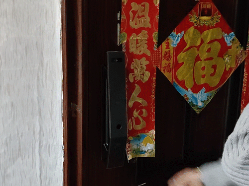 8种开锁体验，居家安防选择VOC人脸识别智能门锁T11 Face更放心