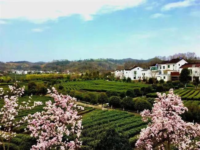 2022�����ɺ��²迪�� ������������������Ļ