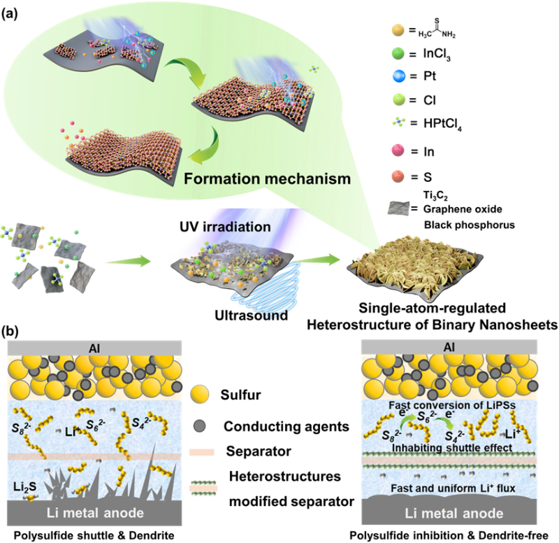 上海交大郭守武教授团队在研究高性能锂-硫电池方面取得进展