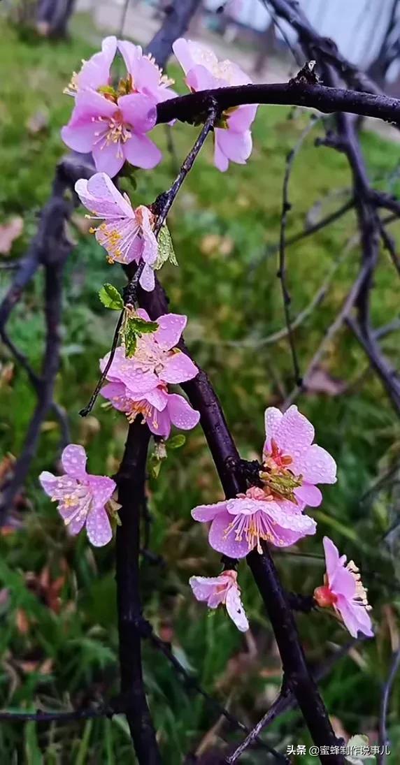 心有阳光，春暖花开；心有阳光，一路芬芳