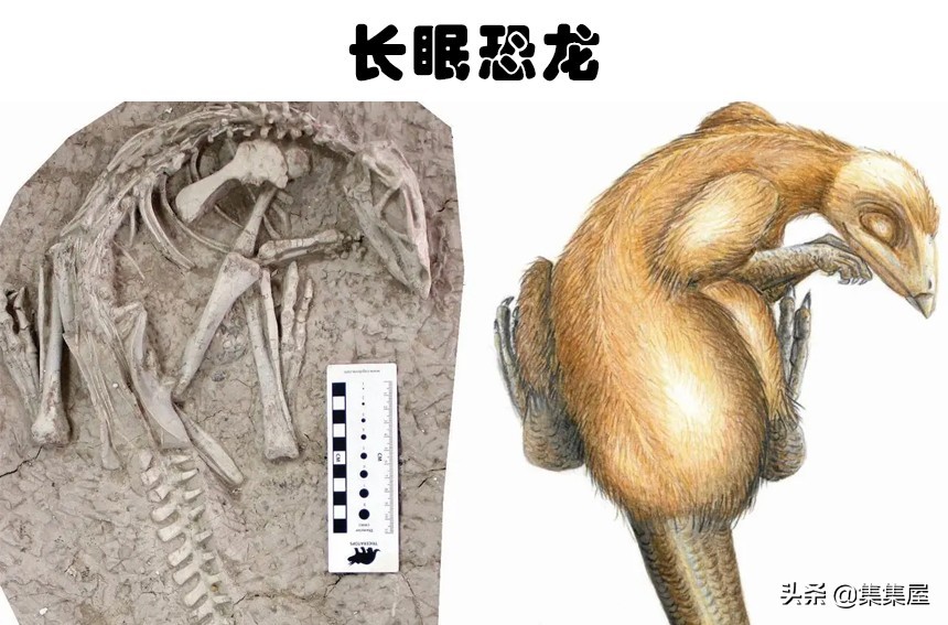 奇异生物(洞穴里也生活着恐龙？如今已被人类发现的5种奇怪的史前生物)