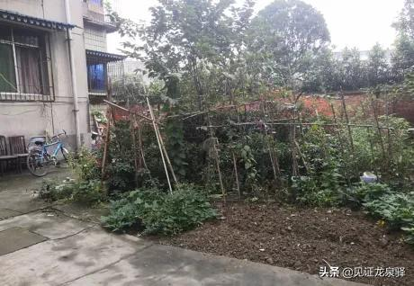 龙泉驿今年再改造老旧小区17个!看看有你家吗?